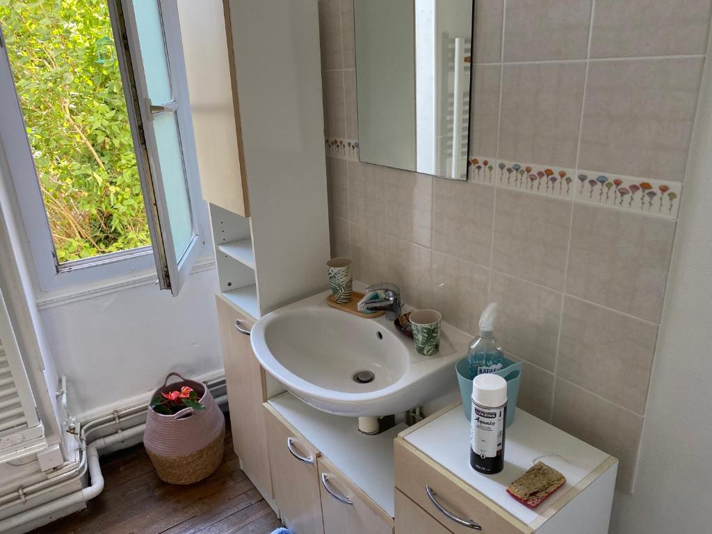 a bathroom with a sink and a mirror at Appart Rez de jardin in Dijon