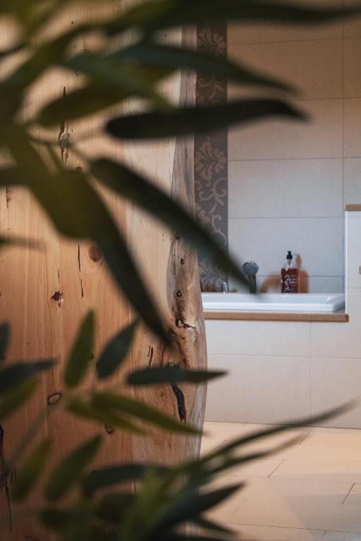 Boutique Hotel Serena Vista - Deluxe Double Room With Bath