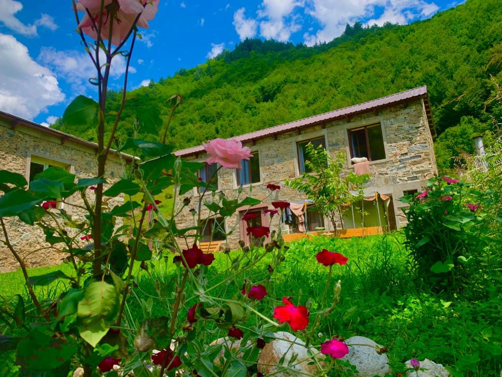 Zahrada ubytování River side SVANETI