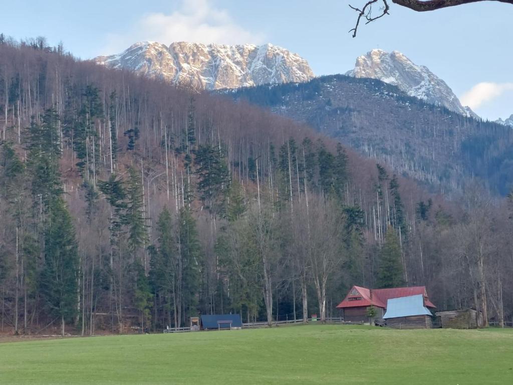 Príroda v okolí apartmánu