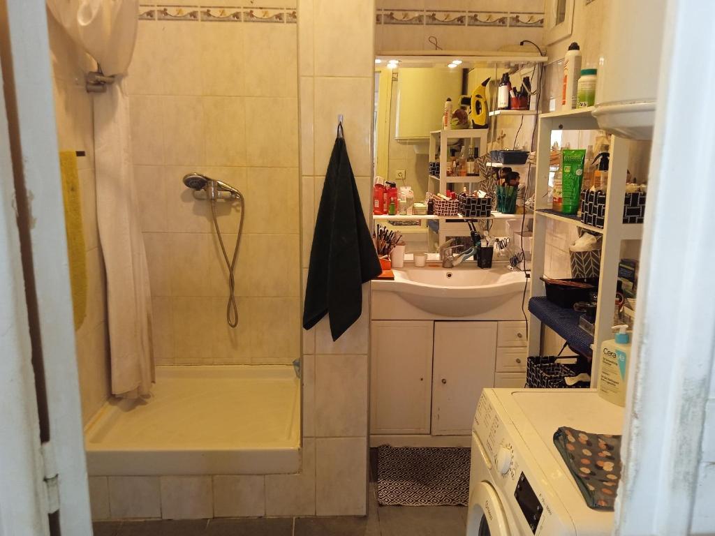 a small bathroom with a shower and a sink at Chambre cosy chez Schéhérazade in Toulon