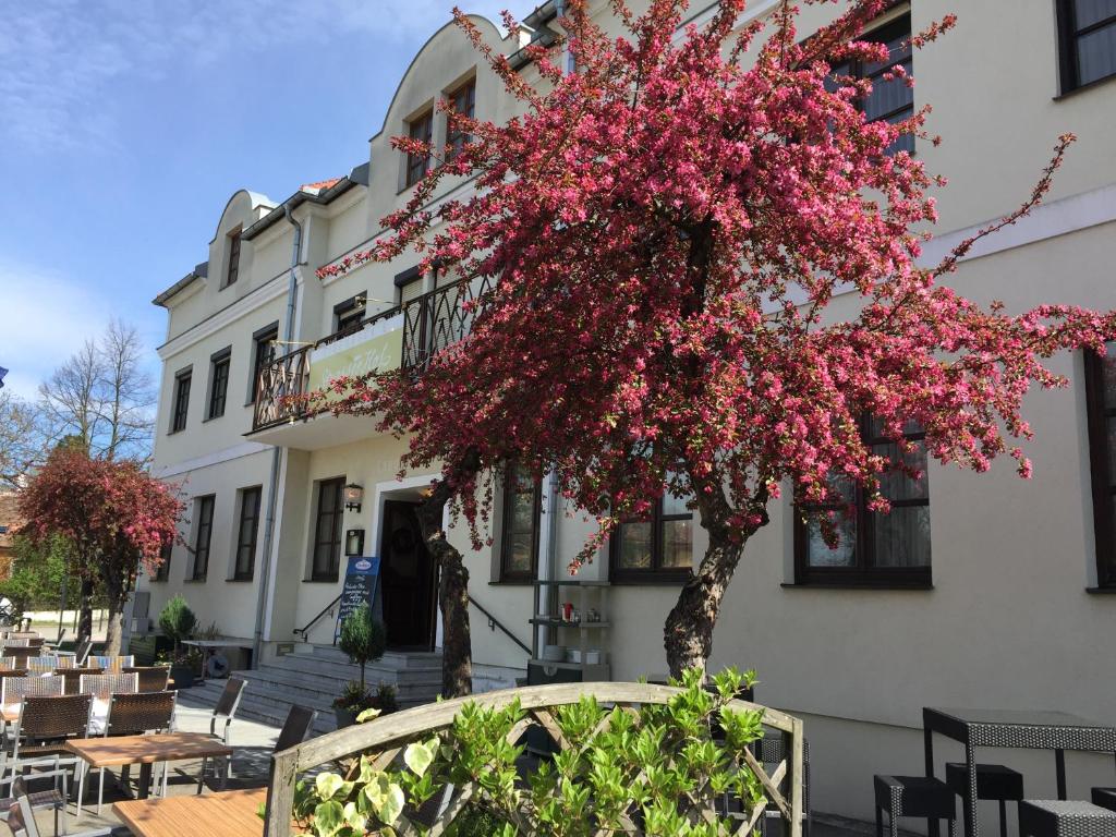 a tree with pink flowers in front of a building at Eisenbock's Strasser Hof in Strass