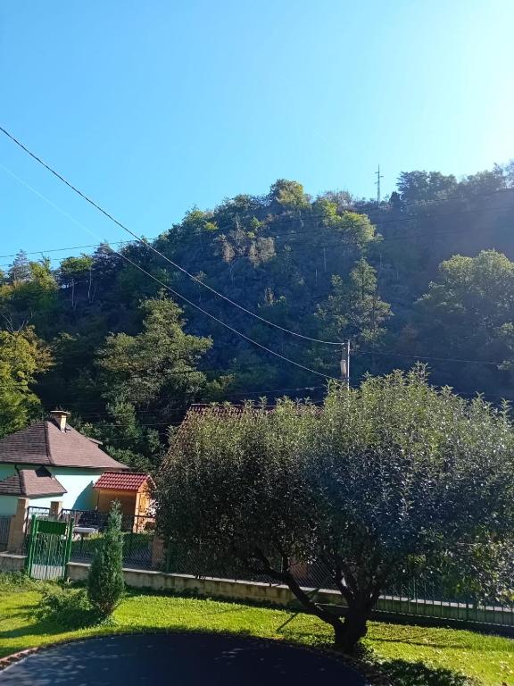 Příroda nedaleko apartmánu