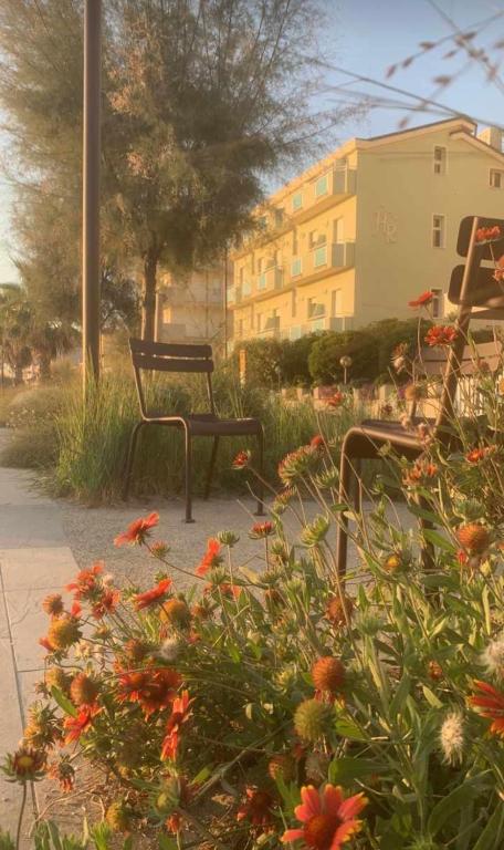 Zahrada ubytování Hotel Rosati