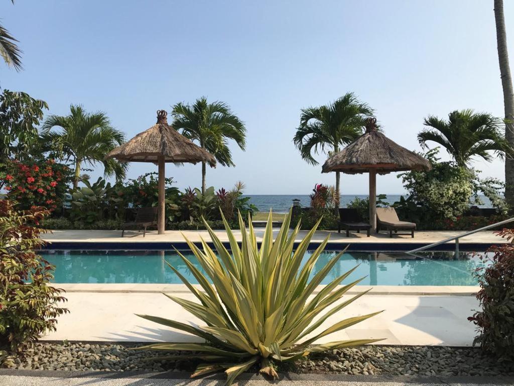 Bazén v ubytování Melaya Beach Resort Room Double nebo v jeho okolí