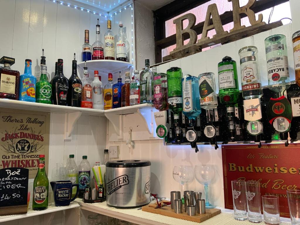 Bromptons - Resim 36