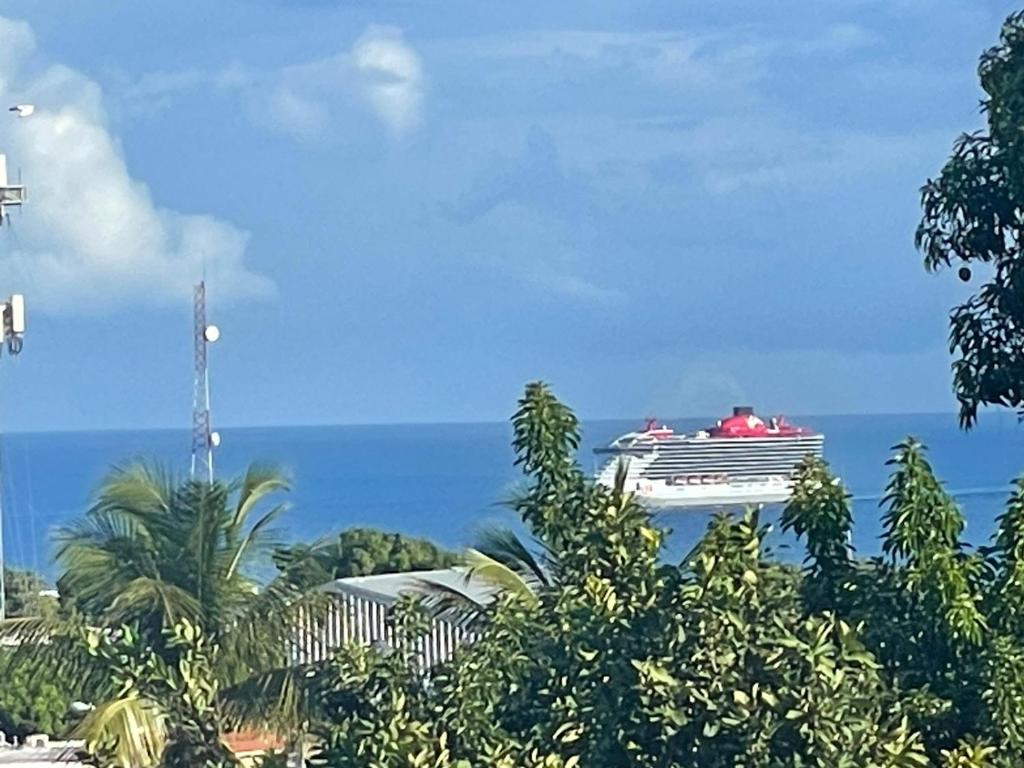 een cruiseschip in de oceaan met bomen bij Royal Terrace V (Duque) in San Felipe de Puerto Plata