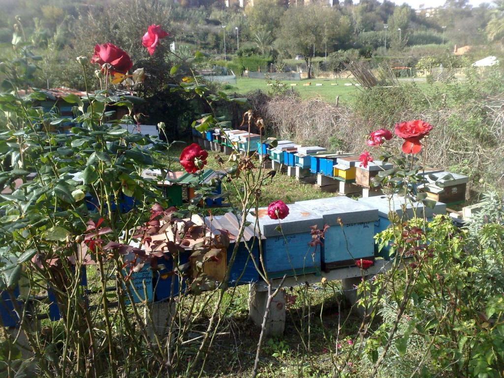 Ogród w obiekcie B&B Il Giardino di Gabri