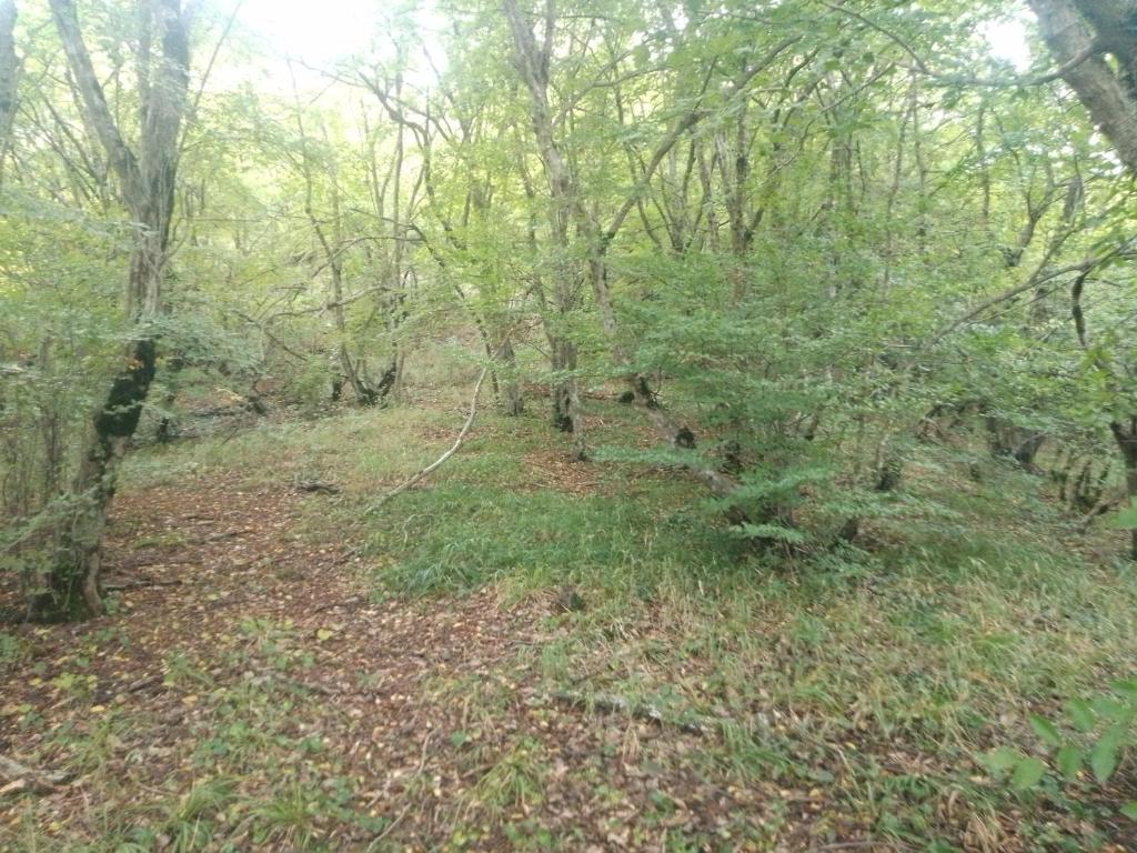 Camping Eagle Canyon, Dedoplis Tskaro Updated 2024 Prices