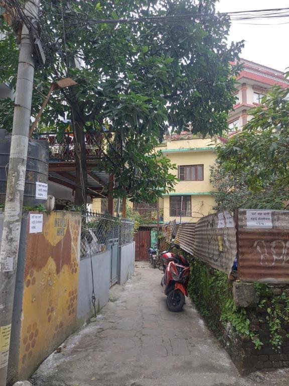 Nepal's Most Affordable Hostel in Thamel, Kathmandu, Kathmandu (updated