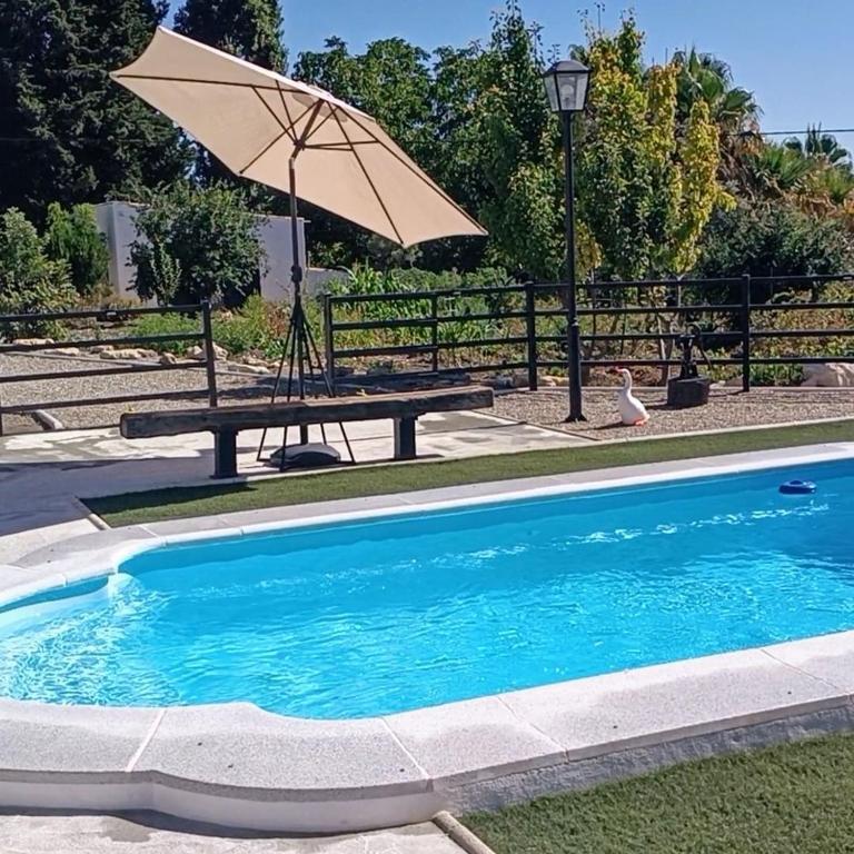 a picnic table and an umbrella next to a swimming pool at Casa la limosna in Setenil