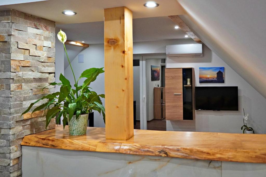 salon z blatem z lustrem w obiekcie Apartman Tilia w mieście Ravna Gora
