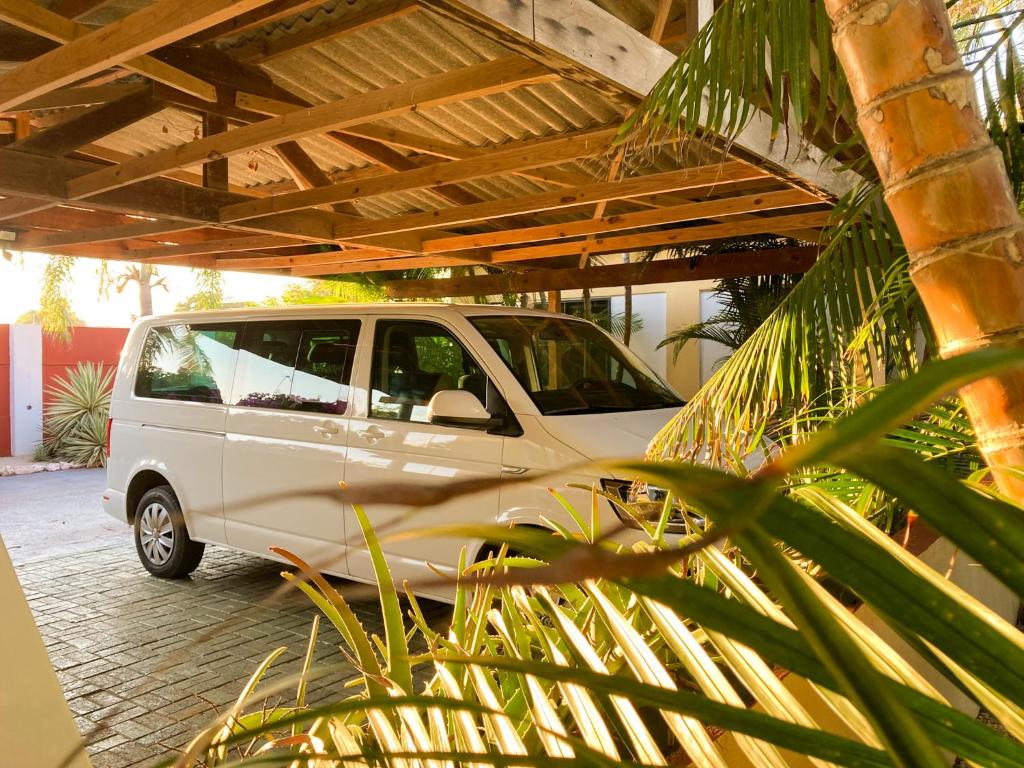 Fotografie z fotogalerie ubytování Woodstock Palmresort Curaçao v destinaci Willemstad