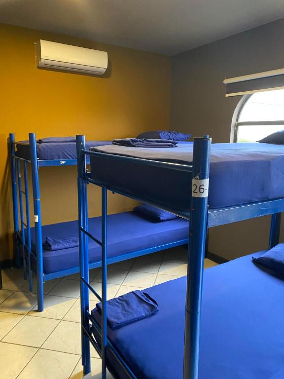 Postel nebo postele na pokoji v ubytování Alajuela Backpackers Airport Hostel