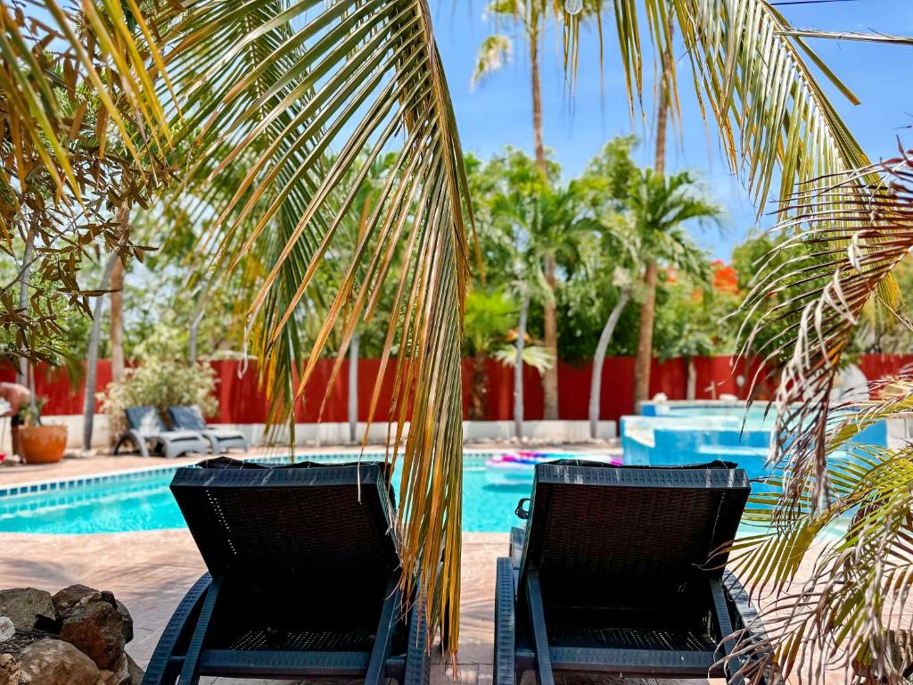 dos sillas bajo una palmera cerca de una piscina en Woodstock Palmresort Curaçao, en Willemstad
