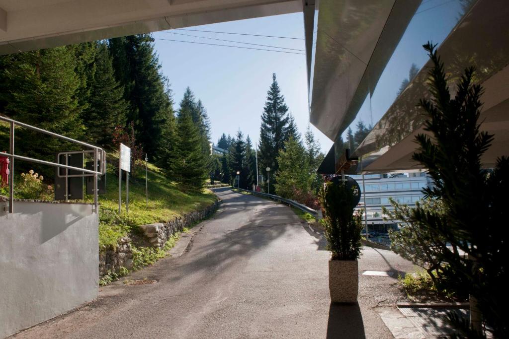 Příroda nedaleko apartmánu
