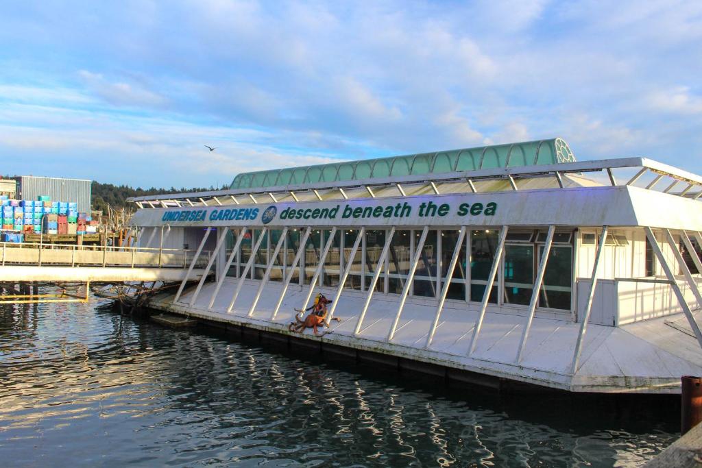 Fotografie z fotogalerie ubytování Horizon Hideout C202 and 302 v destinaci Newport