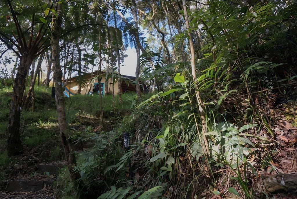 Aed väljaspool majutusasutust ENCANTO Minicasitas en medio de la naturaleza