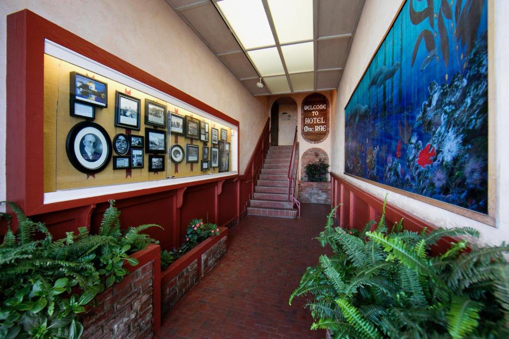 Hotel Mac Rae photo