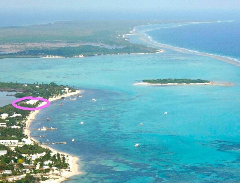 una vista aérea de una playa con un objeto rosa en el agua en Conch Club Cottage, en Head of Bay