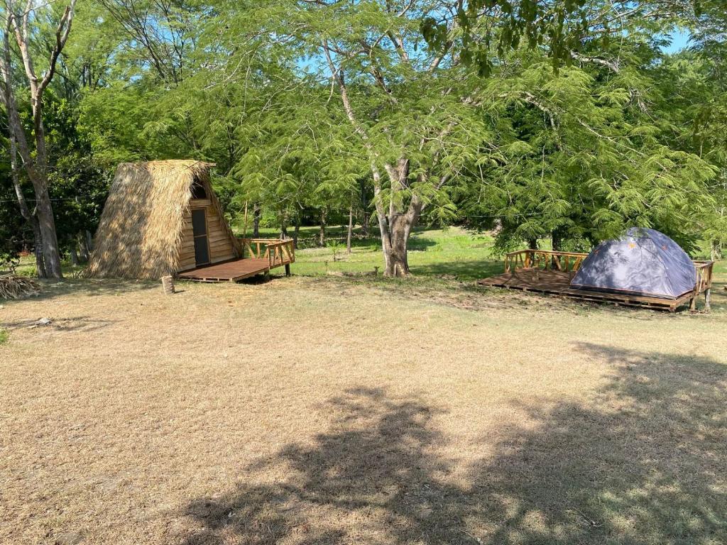 a couple of tents in a field with trees at GLAMPING KAAN JA in Tanchachín