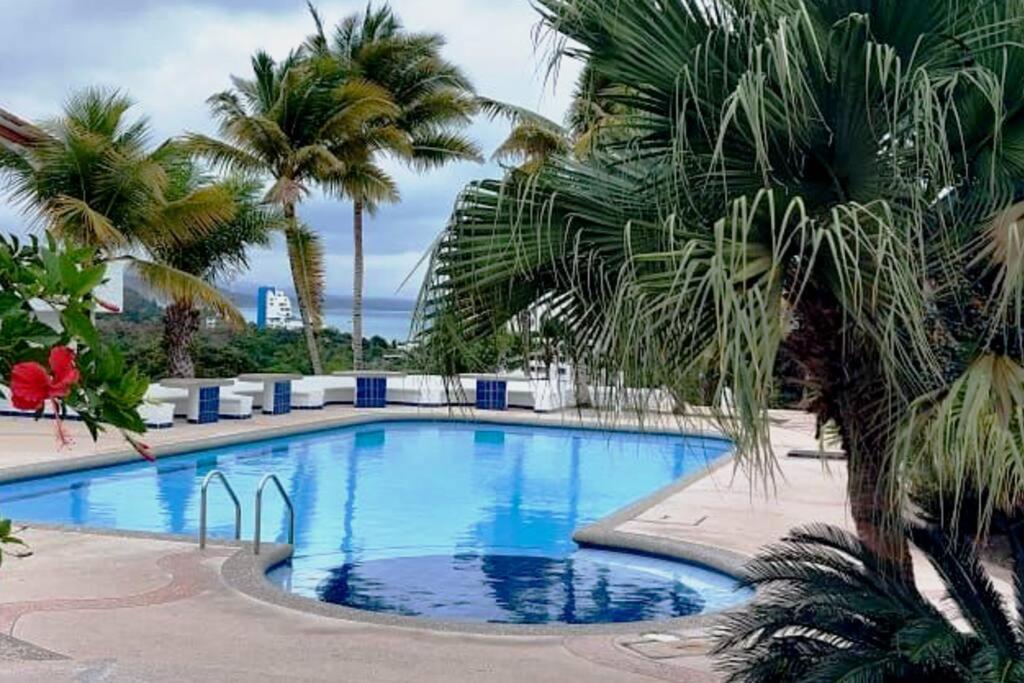 a large swimming pool with palm trees and the ocean at SUITE DENTRO DEL CLUB CASA BLANCA EN SAME in Volcán Chimborazo