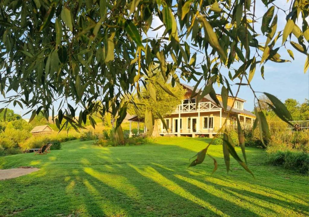 una casa grande en un patio verde con un árbol en Gluosnių vila - Adutiškio pirtis en Švenčionys