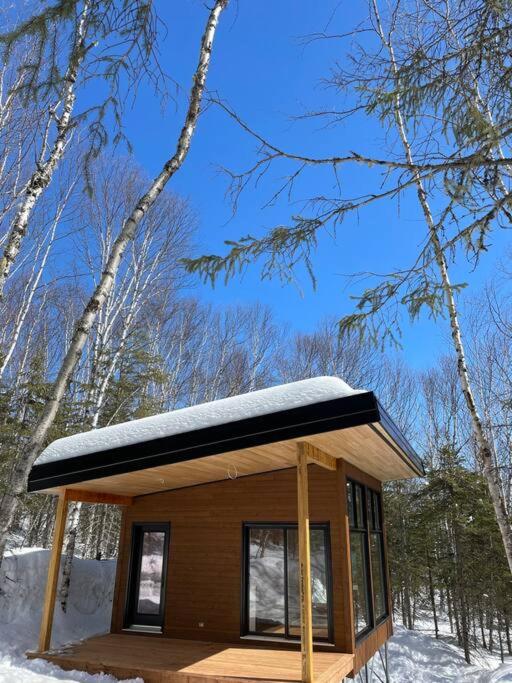 Tanières MicroChalets Charlevoix durante l'inverno