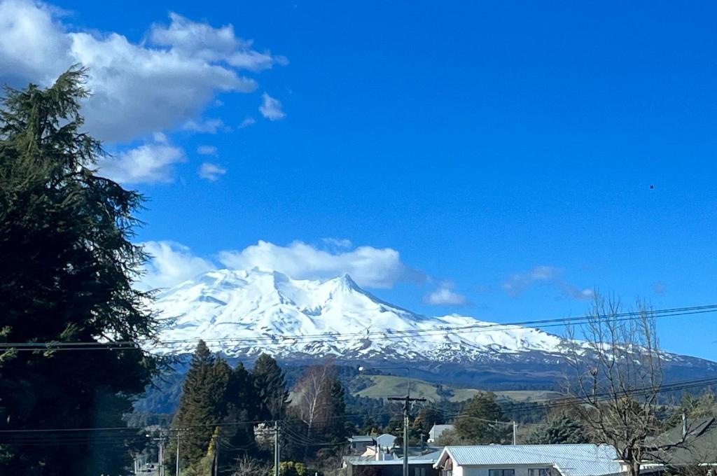 Alpine Motel - Resim 39