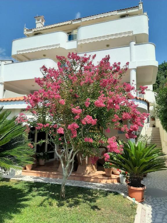 Zahrada ubytování Apartments Villa Mare Mar