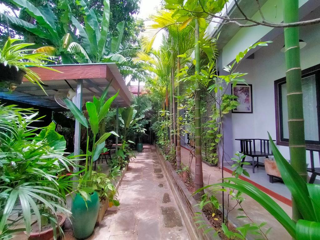 a courtyard of a house with many plants at Green Stay Village in Siem Reap