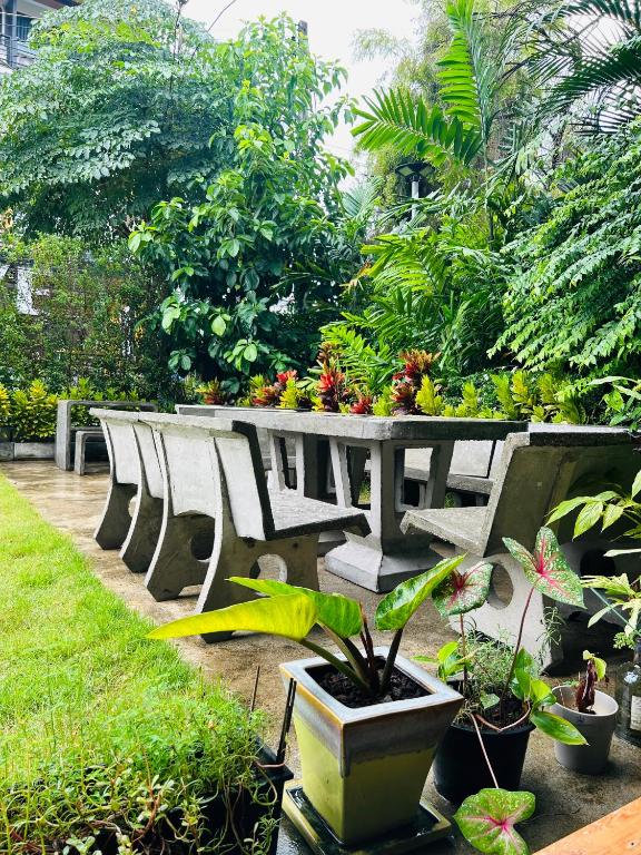 a row of benches in a garden with plants at Chern Chiangmai Boutique Hotel in Chiang Mai