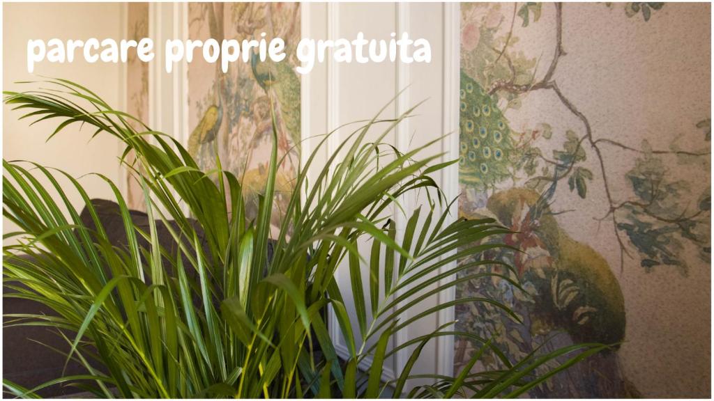 a plant in front of a wall with a painting at Allegro apartments city center in Oradea