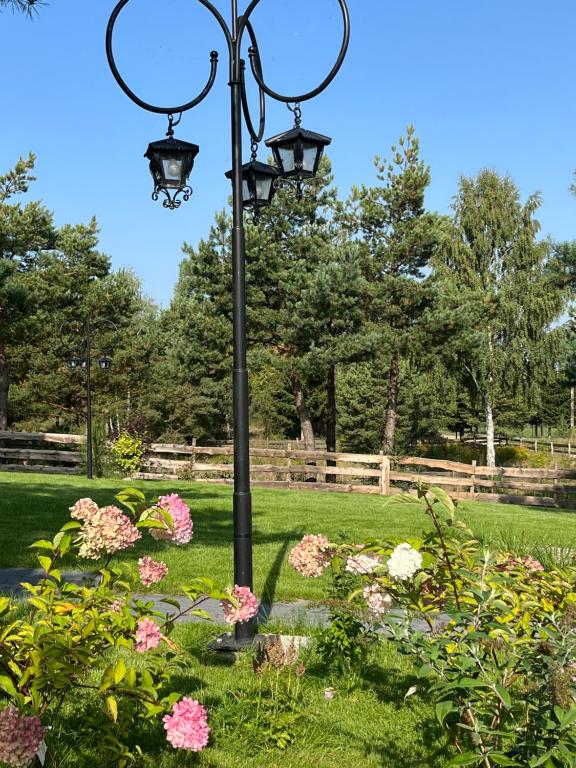 Vonkajšia záhrada v ubytovaní Mazury "Willa Ślimakowo" w Pasymiu z jakuzzi, sauną, pomostem