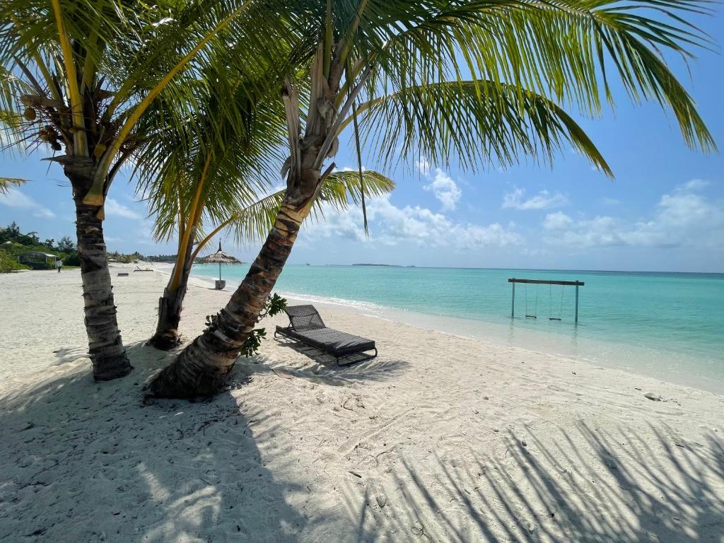 uma praia com duas palmeiras e uma gaiola de rebatidas em Koimala Hotel em Maamigili