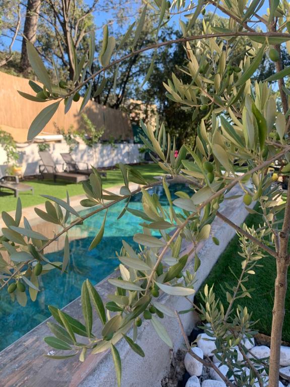 Un jardin en ville, Marseille – Updated 2024 Prices