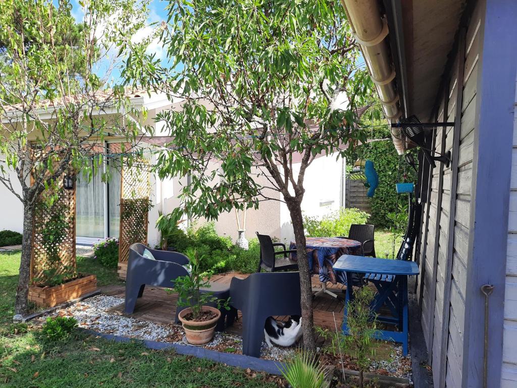 un chat assis à côté d'une table et de chaises sous un arbre dans l'établissement Les Amandiers, à Biscarrosse
