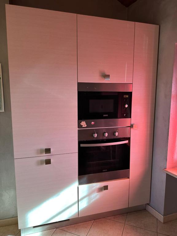 a pink cabinet with an oven in a kitchen at La tana di Piozzo in Piozzo
