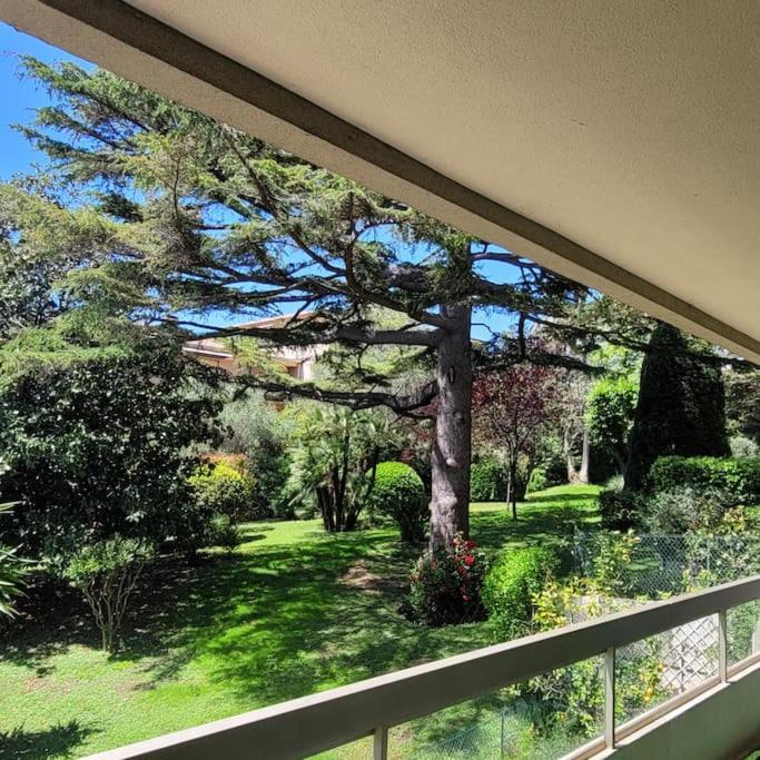 d'un balcon avec vue sur un arbre. dans l'établissement Cannes centre beau 2 pièces 50 M2 plus terrasse à 12 min plages et Palais au calme, à Cannes
