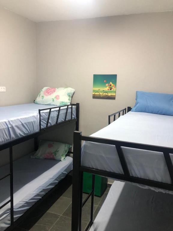 Hostel Vila Brás - 男性宿舍间的双层床