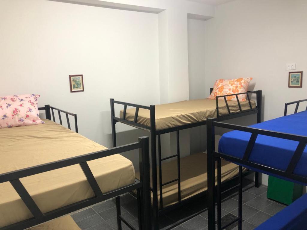 Hostel Vila Brás - 女性宿舍间的双层床