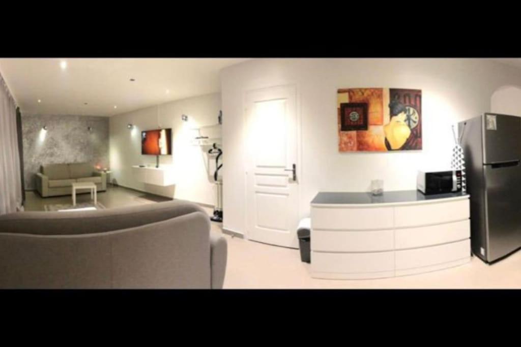- un salon avec un canapé et un réfrigérateur dans l'établissement Loft Porte de Paris Croix de Chavaux 93100 Montreuil, à Montreuil