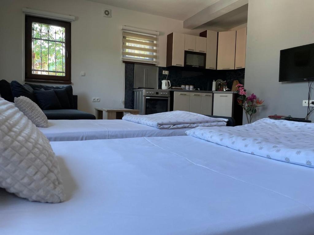 2 duże łóżka w pokoju z kuchnią w obiekcie Apartman Ami w Sarajewie