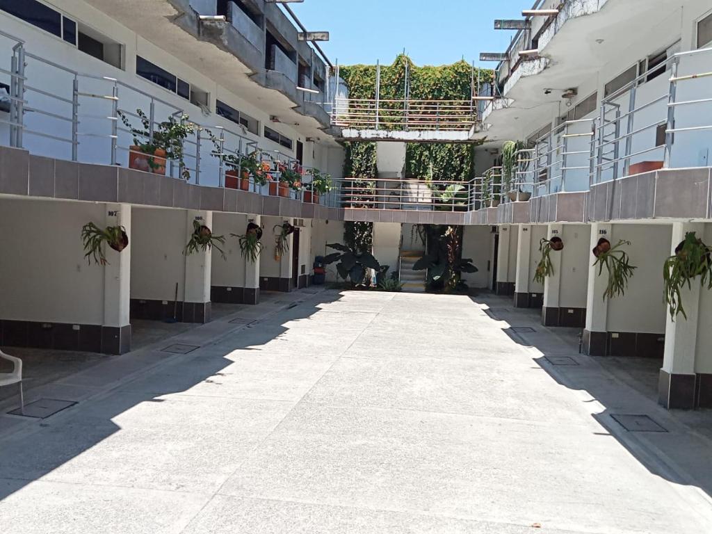 帕爾米拉的住宿－HIDALGO HOTEL，一座公寓楼里空的走廊,里面种有植物