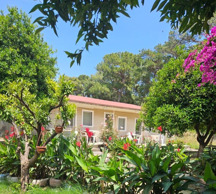 una casa con árboles y flores delante de ella en ORANGE BEACH CAMP en Beldibi