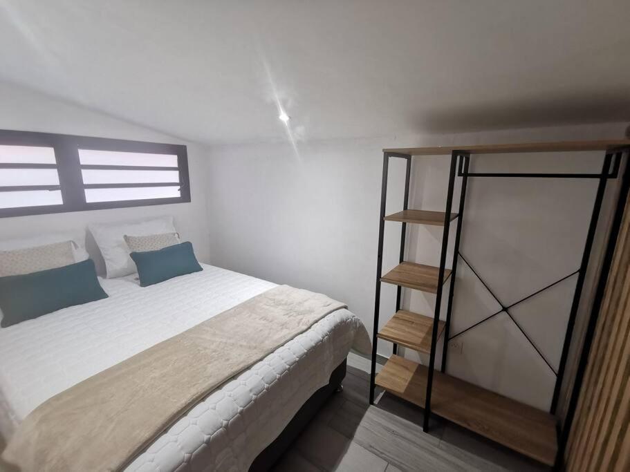 um quarto com uma cama e uma estante de livros em Bienvenue à La Caz'A Loca em Saint-Pierre