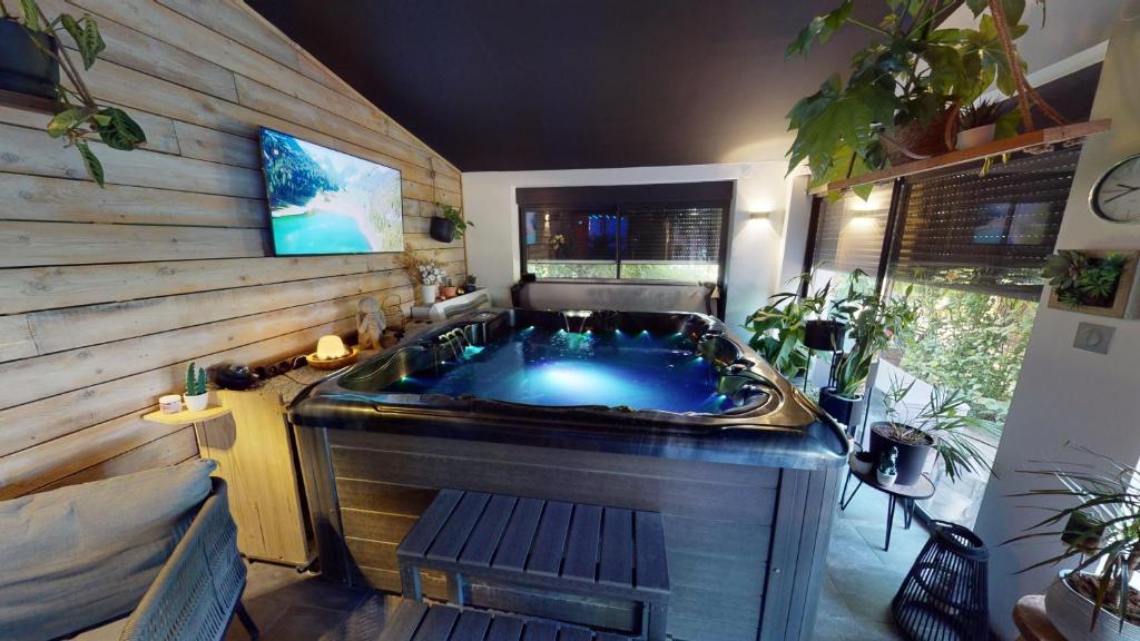 Televízia a/alebo spoločenská miestnosť v ubytovaní La suite Volupté - SPA du Souffle du Saule