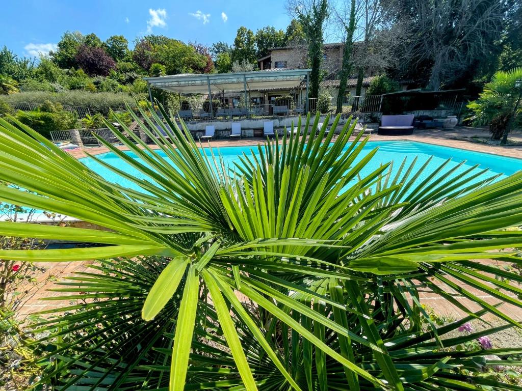Foto sihtkohas Spoleto asuva majutusasutuse Spoleto apt 5 guests - With infinity pool, extensive grounds galeriist
