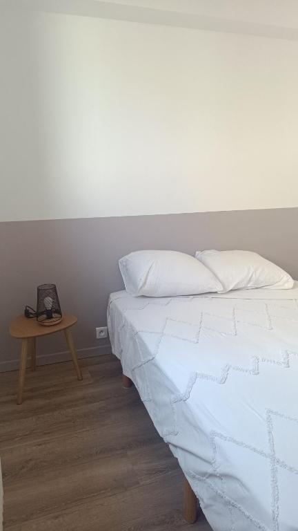 Fotografia z galérie ubytovania Appartement cosy, 4 pers, proximité gare v destinácii Saint-Étienne