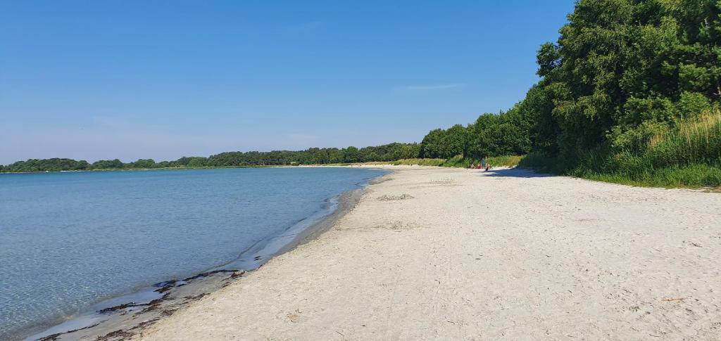 a sandy beach next to the water with trees at Njut av solen, havet, stranden! in Sölvesborg